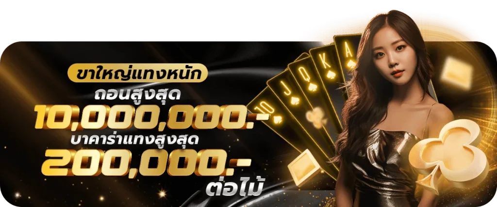 บาคาออนไลน์ no1